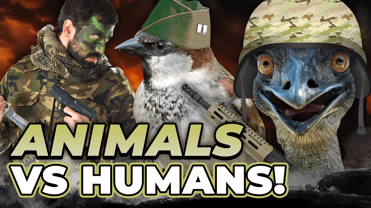 Animals in Conflict: Historical Events
